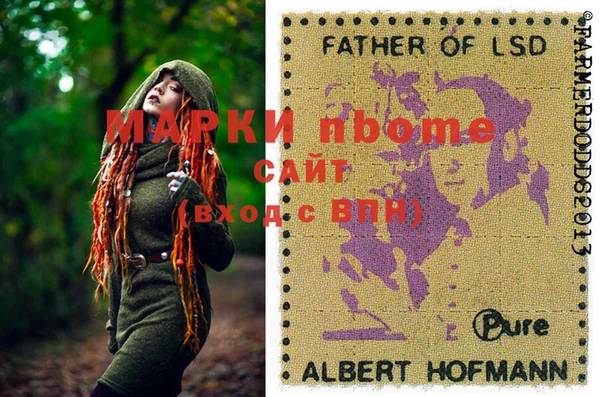 СК Алексин