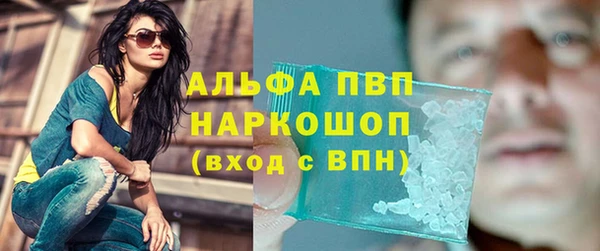 СК Алексин