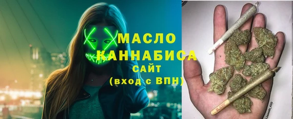 СК Алексин