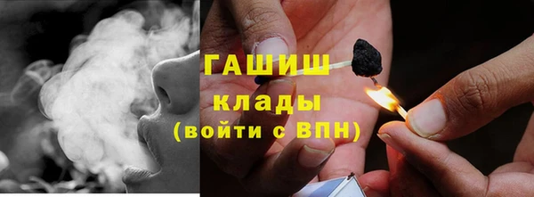СК Алексин