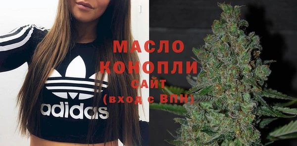 СК Алексин