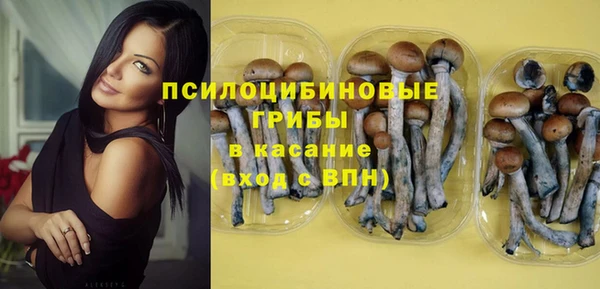 ешки Алзамай
